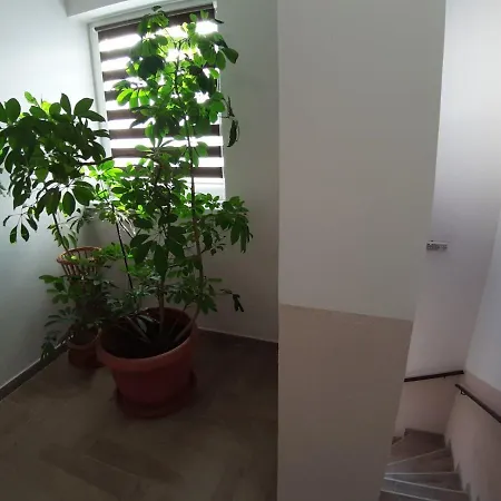 Apartment Manna Palic