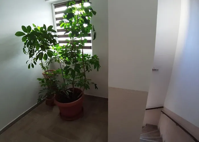 公寓 Manna 帕利克